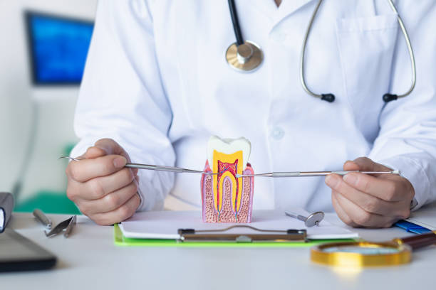 Best Pediatric Emergency Dentist in Thompsons Station, TN